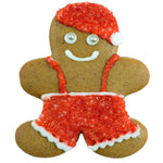 Assorted Decorated Gingerbread Cookies