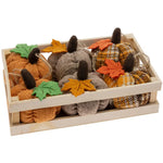Plush Pumpkin ornaments  in Crate