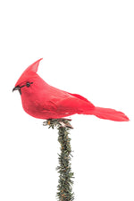Red Cardinal clip on