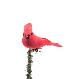 Red Cardinal clip on