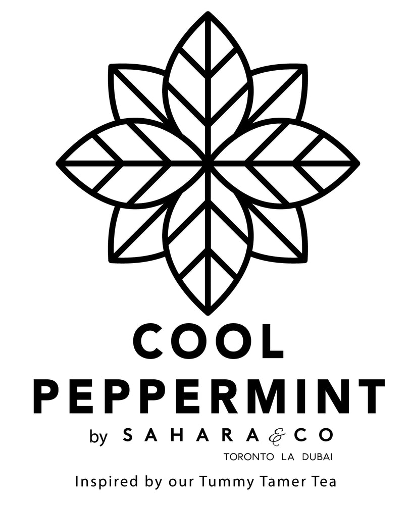 Cool Peppermint Soy Candle - 16oz