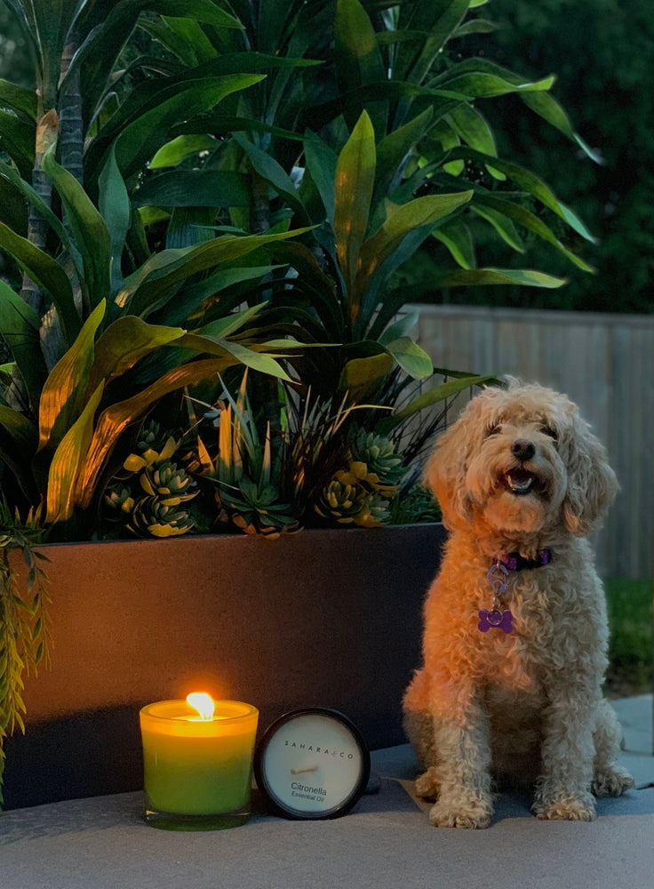 Citronella Outdoor Dining Candle - Dark Grey
